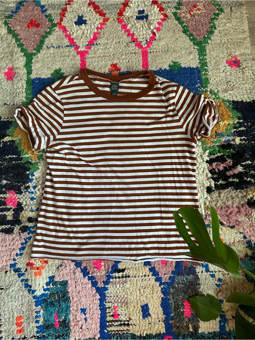 wild fable Brown & White Striped Short Sleeve Tee